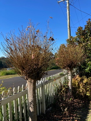 20210627 125815 IMG 9149