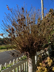 20210627 125825 IMG 9150