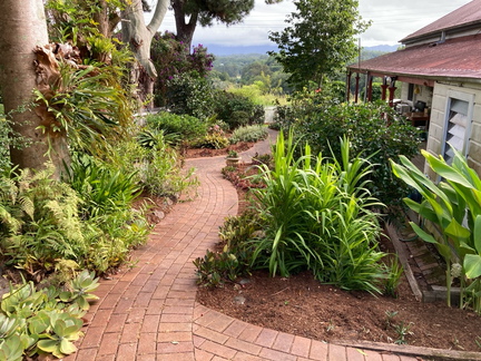 20250226 085243 IMG 0391